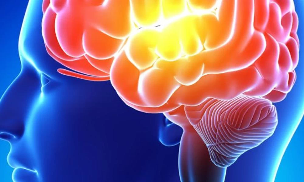 Άνοια – Αλτσχάιμερ: Τα τρία ποτά που προστατεύουν από την απώλεια μνήμης